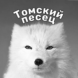 Telegram channel Томский песец logo