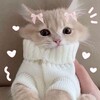 Telegram channel ｡*⁠.⁠✧пруфы нэссы｡*⁠.⁠✧ logo