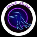 شعار قناة تلجرام pilott36666 — مملكه النودزات (الاساسيه)