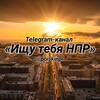 Логотип телеграм канала @poiskinpr — Ищу тебя НПР