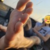 لوگوی کانال تلگرام polarfeet — 🦶🏻❤️PolarFeets - FOOTFEETSH❤️🦶🏻