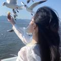 电报频道的标志 princesssissi7 — 上海网红花店老板娘频道