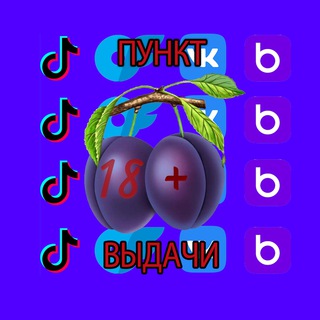 Логотип телеграм канала @punkdvidachis — CheckThatLink