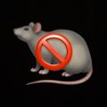 Telegram channel RADARSCAMMER logo