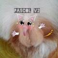 Telegram channel Rate pap PascolV2•૪ logo