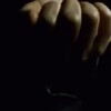 Telegram channel RedPill Video Archive logo