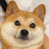 电报频道的标志 rgfl8 — 二狗福利站㊙️福利姬/网红/推特/微博/onlyfans
