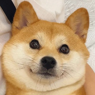 Telegram channel 免费在线看👠熟女巨乳广场舞 logo