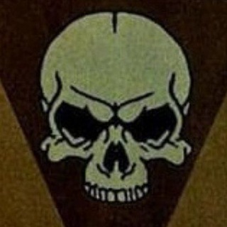 Логотип телеграм канала @rt_rusia — Мы не смерть, мы хуже