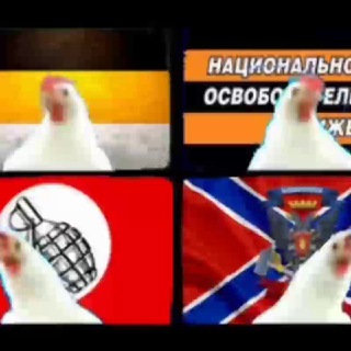 Telegram channel Типичный Россиянин logo