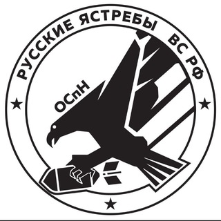 Telegram channel ОСпН РУССКИЕ ЯСТРЕБЫ ВС РФ logo