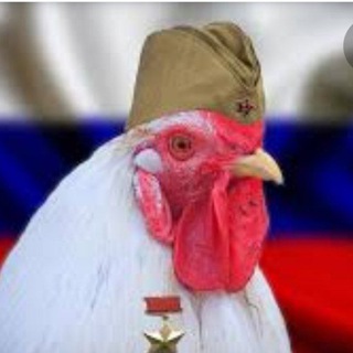 Telegram channel россия Головного Мозга logo