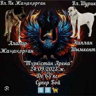 Telegram channel 🦁🏆Сабачьи бой🏆🦁 logo