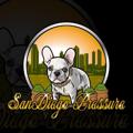 Telegram channel SanDiego Pressure 🔥⛽️ logo
