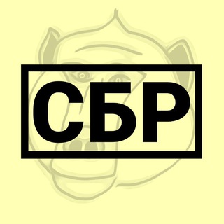 Telegram channel Служба Безопасности Репана logo