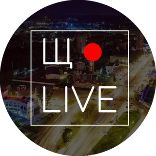Telegram channel Щёлково LIVE logo
