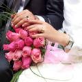 لوگوی کانال تلگرام seetarhaa — ️️️ستاره ها️️️