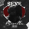 Telegram channel SEXE PROMOTE logo