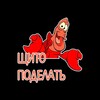 Telegram channel Переехали | Moved logo
