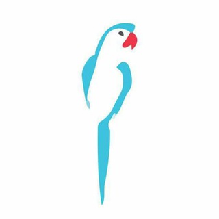 Telegram channel Sexual Сulture logo
