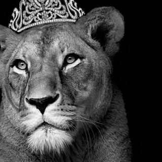 لوگوی کانال تلگرام shaden_7 — 𝑺𝑯𝑨𝑫𝑬𝑵