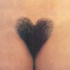 Логотип телеграм канала @shaggy_pussy — Лохматая киSка