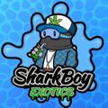 Telegram channel Shack boy 🦈🏪 logo