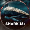 Telegram channel SHARK 18  logo