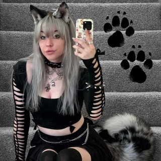 Telegram channel 🐾پناهگاه/༒𝑺𝑯𝑬𝑳𝑻𝑬𝑹 logo