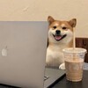 Telegram channel 🛒🛒🛒Shiba工作室🛒🛒🛒 logo