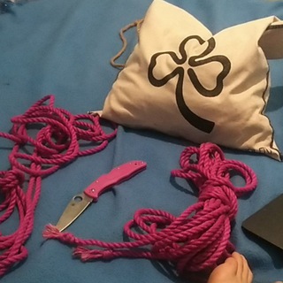 Логотип телеграм -каналу shibari_clover — 💚Розумна Кловер💚