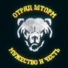 Telegram channel Отряд Шторм logo