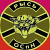 Telegram channel ОСпН "Рысь" logo