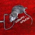 Логотип телеграм канала @shvir404 — ☢️ ВНИМАНИЕ ☢️ ШВЫРИ