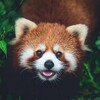 电报频道的标志 ske7se — 秘密花园🤡放映厅