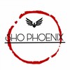 Telegram channel СХО «PHOENIX» logo