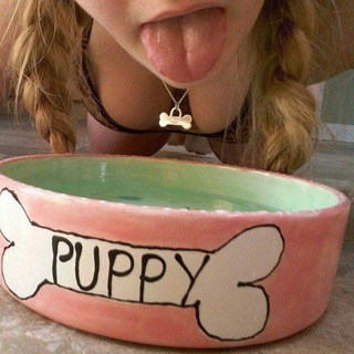 لوگوی کانال تلگرام slavepet — BarfiN_pet✨