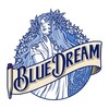 Логотип телеграм канала @sliv691 — BLUE DREAM SLIV | Дампы ВК🦋