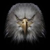Telegram channel Слив девушек Бишкека logo
