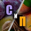 Telegram channel Сливы и Персики (Patreon, Onlyfans, Fansly, Boosty) logo