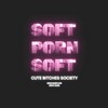 Telegram channel SoftPornSoft  18 🔞 logo