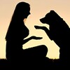 电报频道的标志 sokneoitg — 索女 Dog Come TG
