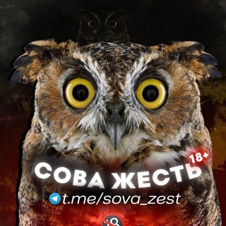 Telegram channel Сова Жесть 18 ✙ (перехідник) logo