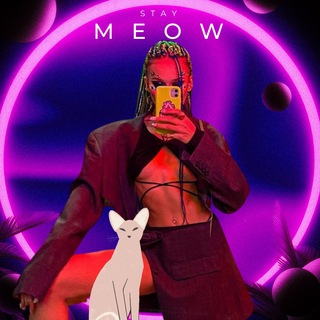 Telegram channel Stay Meow logo