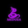 Telegram kanalının logosu sub_meduzaa — Meduza Channel 🐍🔥🔞