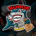 Logo del canale Telegram surgeworldwidee - 🦈$URG£🔥™️