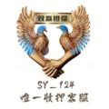Telegram kanalının logosu sy_397 — 双赢公群SY_124唯一客服认准id