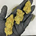 Logo of telegram channel sydneyweedsupply — Sydneyweedsupply