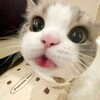 电报频道的标志 syql6 — 清零