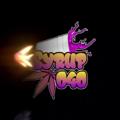 Logotipo do canal do Telegram syrupehv — FLESCOBAR PHARMA INDUSTIES for you syrup lean and medicine